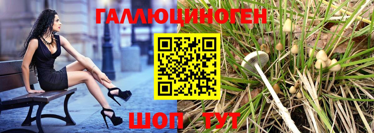 Псилоцибиновые грибы MAGIC MUSHROOMS  Вход с VPN  Волгодонск 