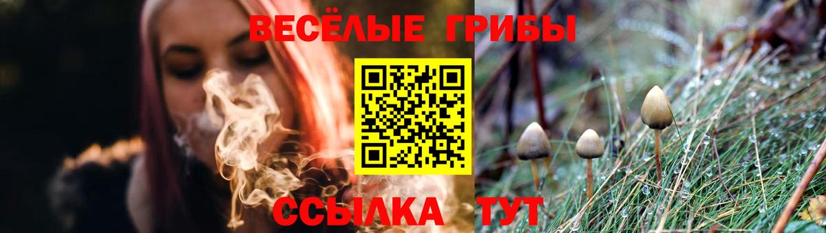 Галлюциногенные грибы GOLDEN TEACHER Волгодонск